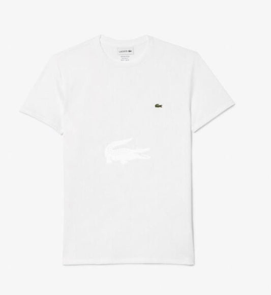 lacoste maglia uomo